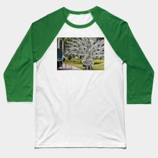 PEACOCK: VANITY Baseball T-Shirt